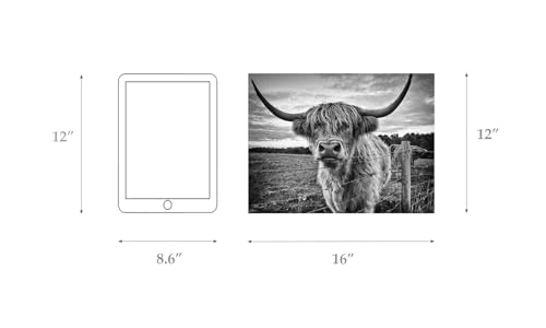 Highland Cow Canvas Wall Art for Bathroom Decor Black and White Nature Cow Picture Framed Poster Artwork (12x16inches)