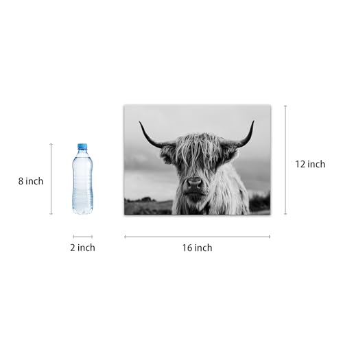 Highland Cow Wall Art Canvas Print (Black and White Animal) for Bedroom Bathroom (12x16 inch) Top Selling Framed Art Dec