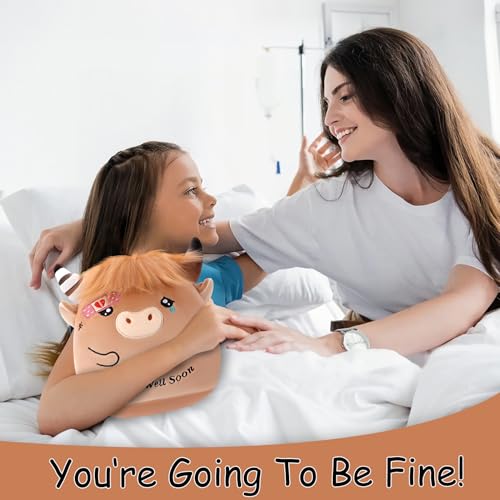 Highland Cow Plush Toy - Adorable Stuffed Animal for All Ages, Perfect Get Well Gift for Kids, 9.45 Inch