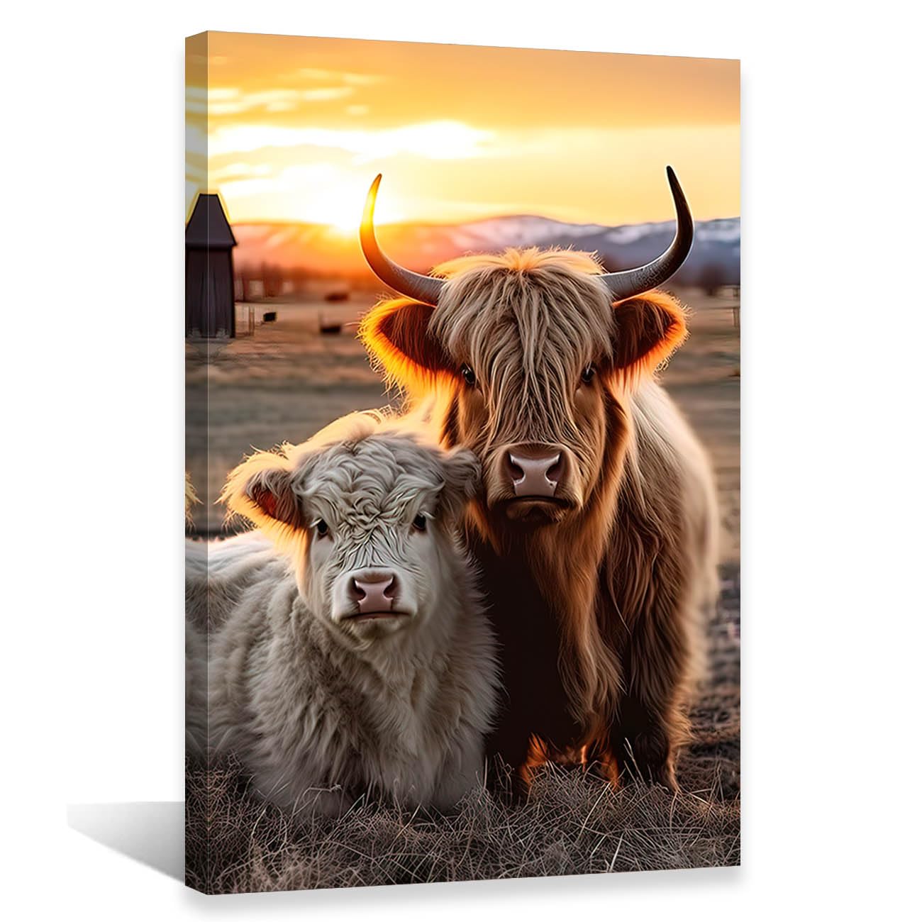 QIXIANG Highland Cow Canvas Wall Art for Bathroom Decor (Highland Cow, 1|00" x 18.00")  
QIXIANG Highland Cow Fluffy Cat